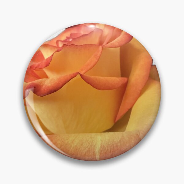 Item preview, Vibrant Golden Orange Rose with Red Tipped Petals designed and sold by BalkanBloom.