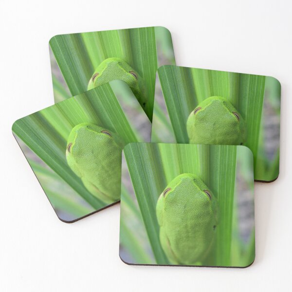 Item preview, Green 'Grass' Frog designed and sold by photosbymia.