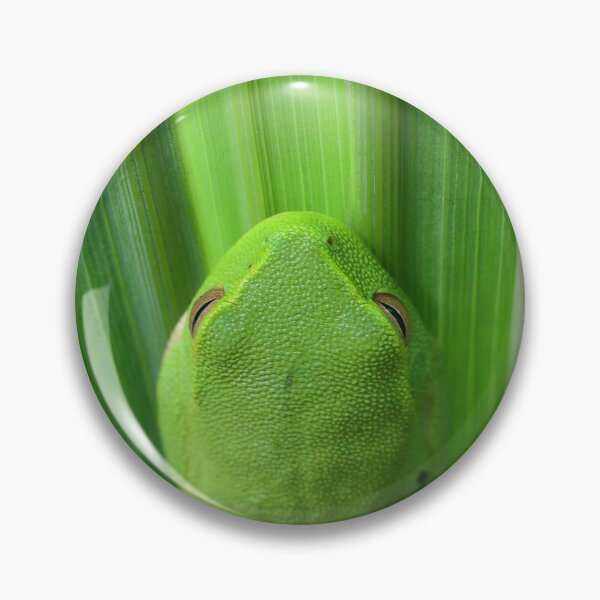 Item preview, Green 'Grass' Frog designed and sold by photosbymia.