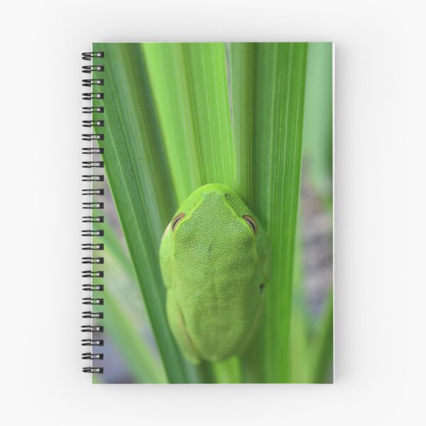 Item preview, Green 'Grass' Frog designed and sold by photosbymia.
