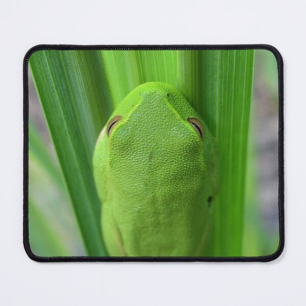 Item preview, Green 'Grass' Frog designed and sold by photosbymia.