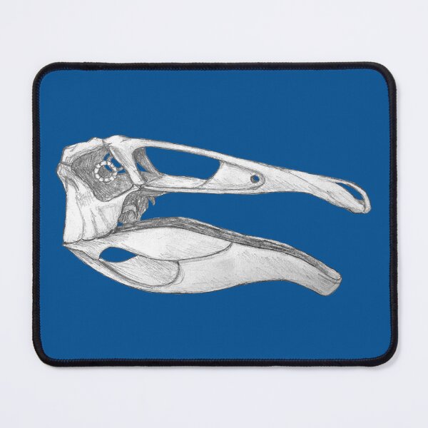 Item preview, Deinocheirus Skull designed and sold by DoodleSnake58.