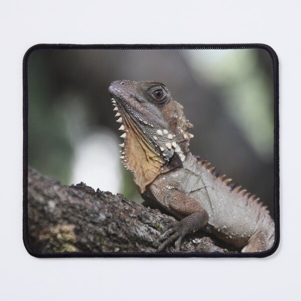Item preview, Boyd's Forest Dragon designed and sold by MKlens.