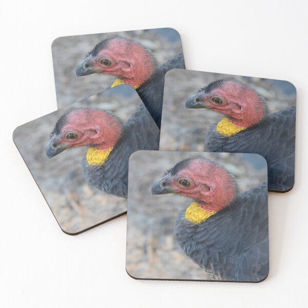 Item preview, Bush Turkey designed and sold by photosbymia.