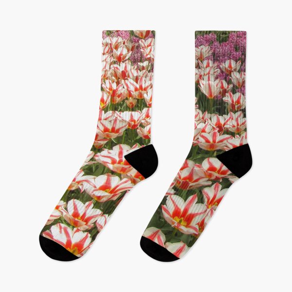 Item preview, Keukenhof Tulip Festival, Holland - Spring Garden | Iconic Dutch Flower & Floral Art designed and sold by Ross.A.Campbell.