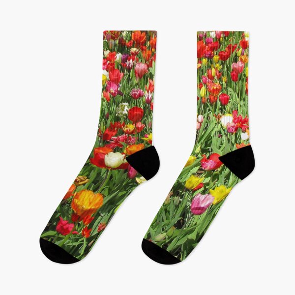 Item preview, Keukenhof Tulip Festival, Holland - Spring Garden | Iconic Dutch Flower & Floral Art designed and sold by Ross.A.Campbell.