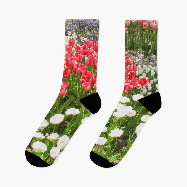 Item preview, Keukenhof Tulip Festival, Holland - Spring Garden | Iconic Dutch Flower & Floral Art designed and sold by Ross.A.Campbell.