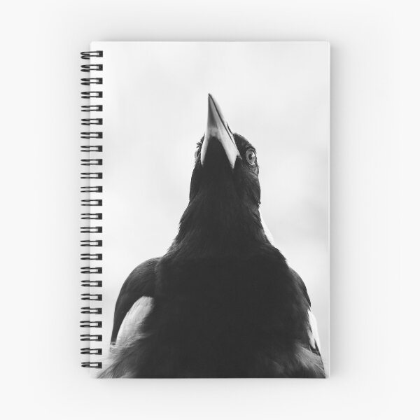 Item preview, Majestic Magpie designed and sold by photosbymia.