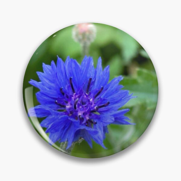 Artikelvorschau, Skandinavische Blaue Wildblume entworfen und verkauft von StrawberryCapy.