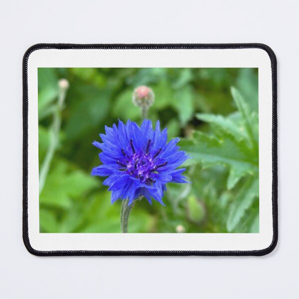 Item preview, Scandinavian Blue Wildflower designed and sold by StrawberryCapy.