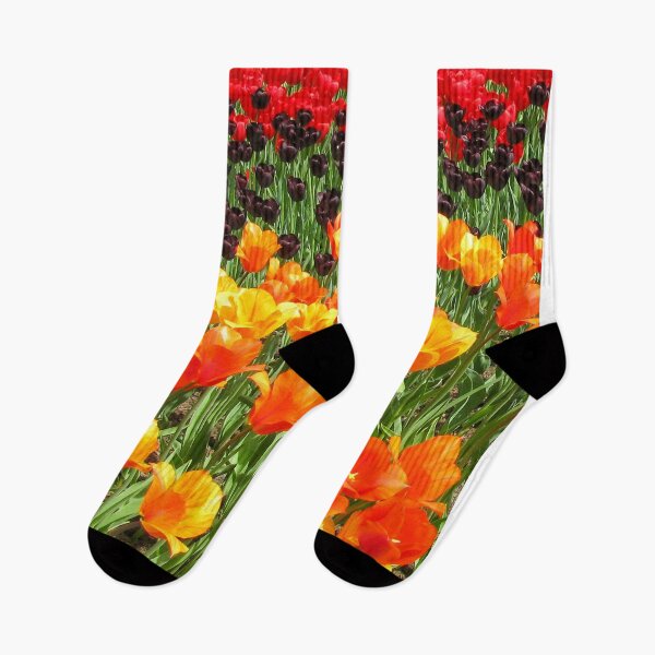 Item preview, Keukenhof Tulip Festival, Holland - Spring Garden | Iconic Dutch Flower & Floral Art designed and sold by Ross.A.Campbell.