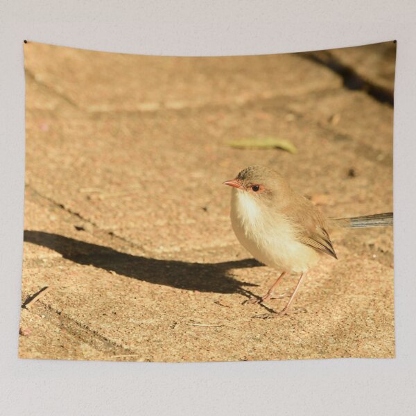Item preview, Little brown Wren designed and sold by photosbymia.