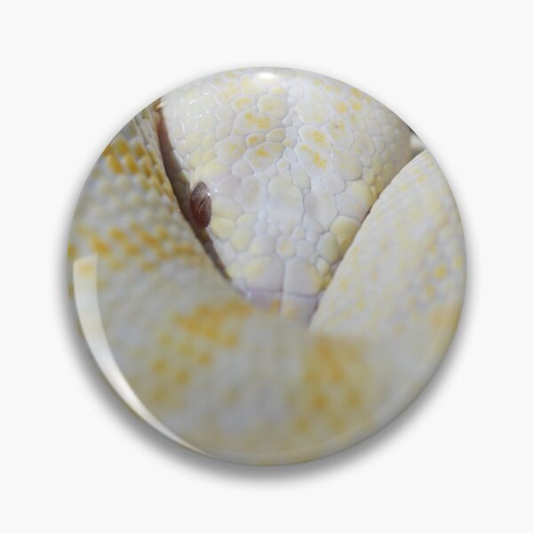 Item preview, Albino Darwin Carpet Python designed and sold by MKlens.