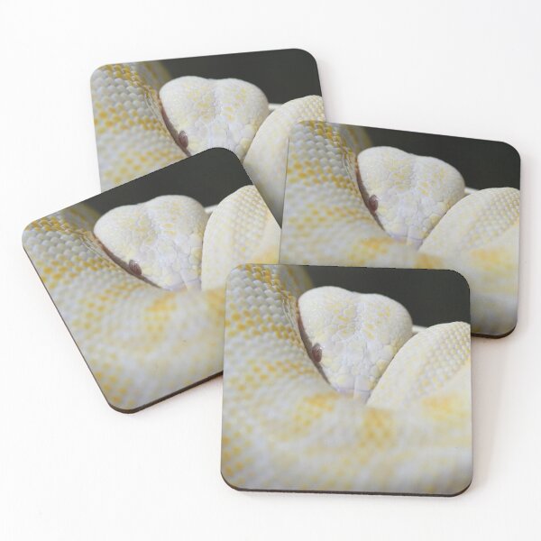 Item preview, Albino Darwin Carpet Python designed and sold by MKlens.