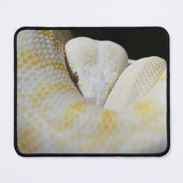 Item preview, Albino Darwin Carpet Python designed and sold by MKlens.