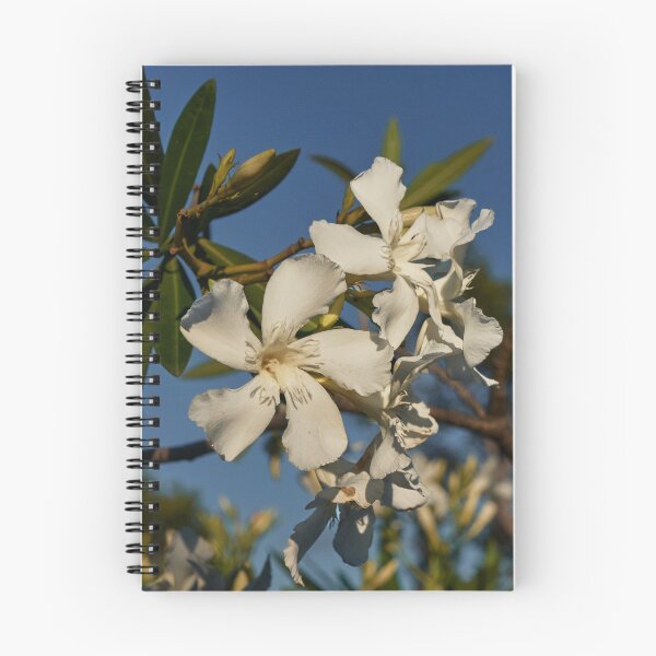 Item preview, Nerium Oleander designed and sold by Eidetic Photos.