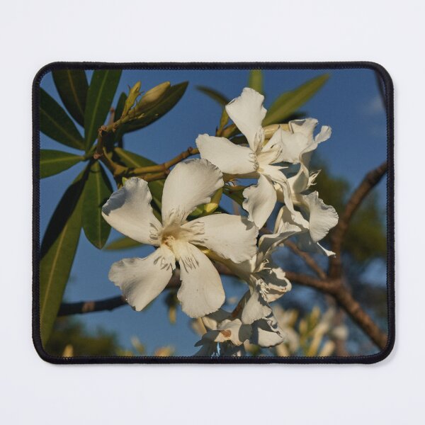 Item preview, Nerium Oleander designed and sold by Eidetic Photos.