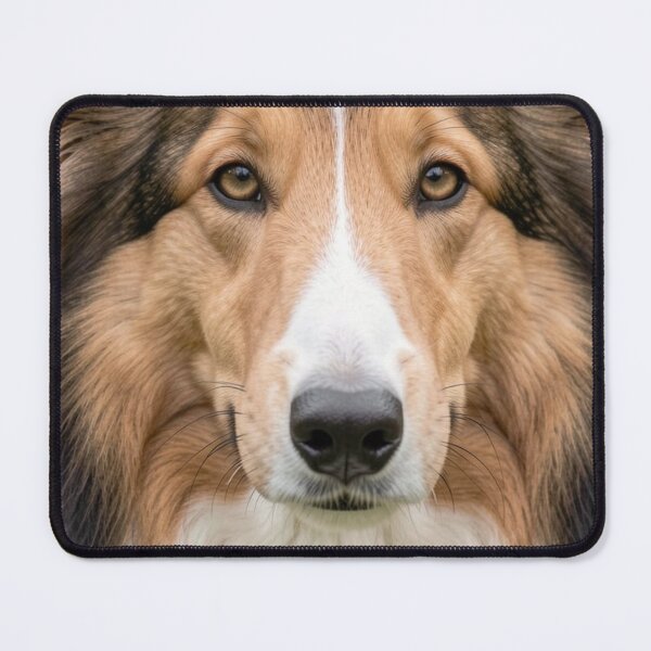 Item preview, Collie designed and sold by Kirrindy Designs.