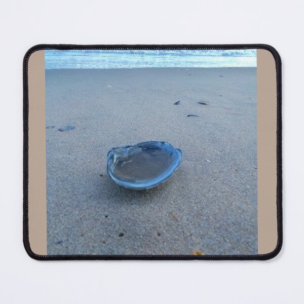 Item preview, Shell's View designed and sold by Curious Echo Photography.