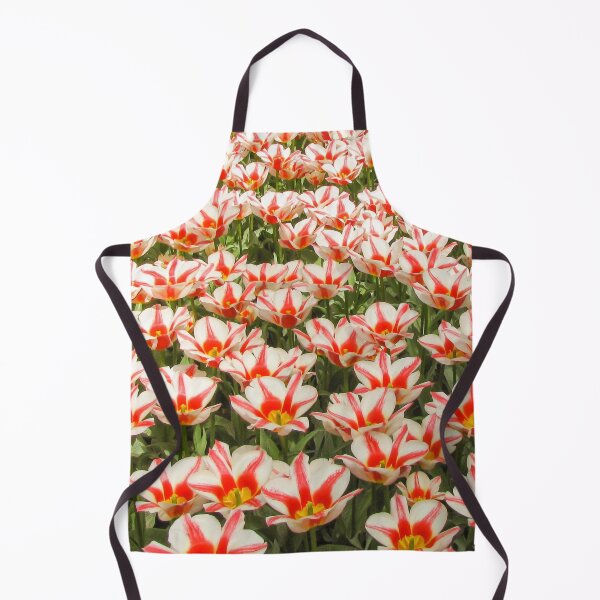 Aperçu de l'œuvre Festival des tulipes de Keukenhof, Pays-Bas - Jardin printanier | Fleurs et art floral emblématiques des Pays-Bas créée et vendue par Ross.A.Campbell.