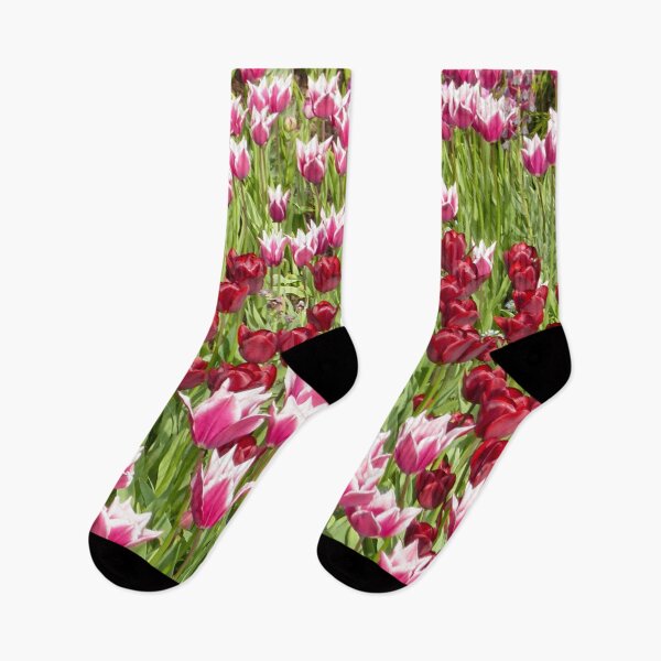 Item preview, Keukenhof Tulip Festival, Holland - Spring Garden | Iconic Dutch Flower & Floral Art designed and sold by Ross.A.Campbell.