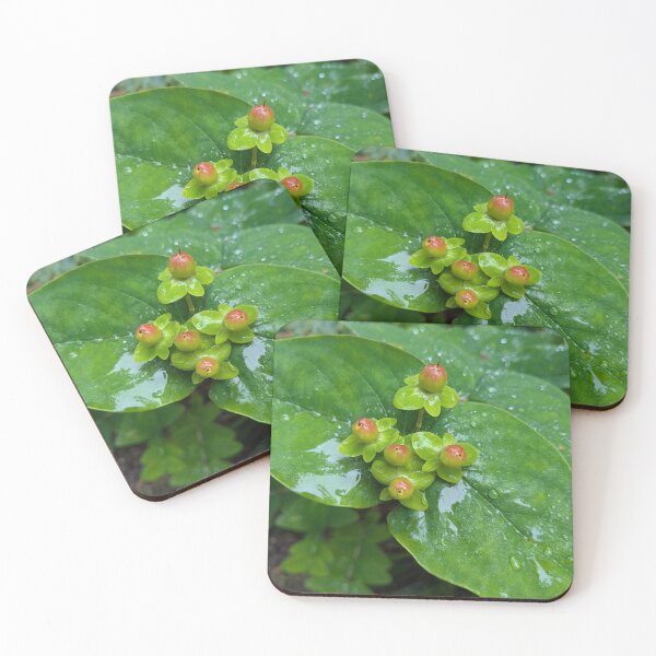 Item preview, Dewdrops on Leaves designed and sold by FastRapidash.