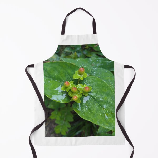 Item preview, Dewdrops on Leaves designed and sold by FastRapidash.