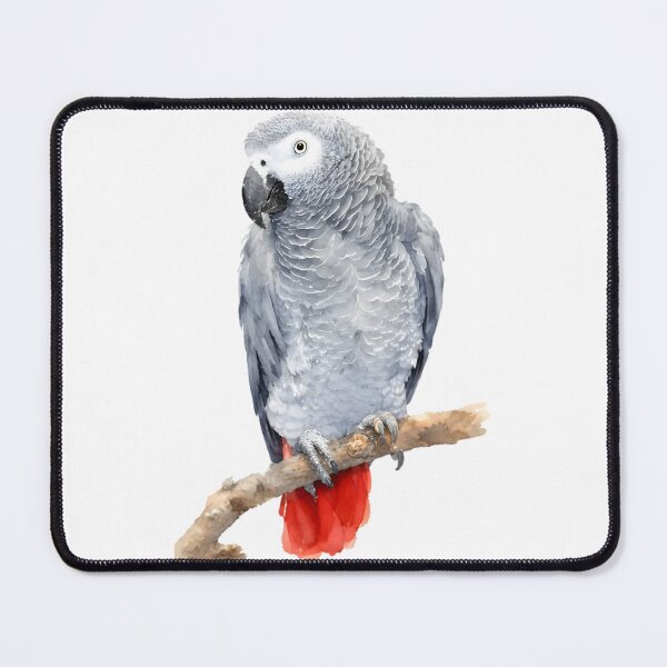 Item preview, African Grey Parrot designed and sold by HOMETOWN86.