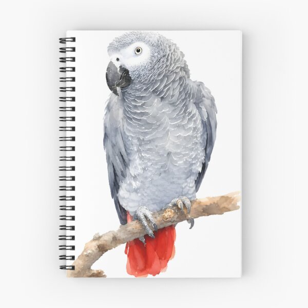 Item preview, African Grey Parrot designed and sold by HOMETOWN86.