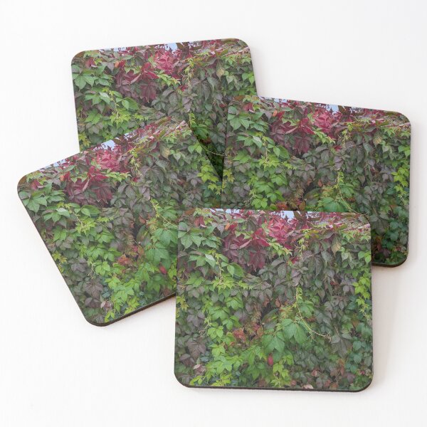 Item preview, The colours of nature  designed and sold by FastRapidash.