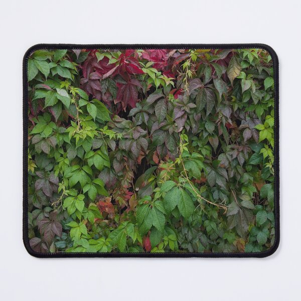 Item preview, The colours of nature  designed and sold by FastRapidash.