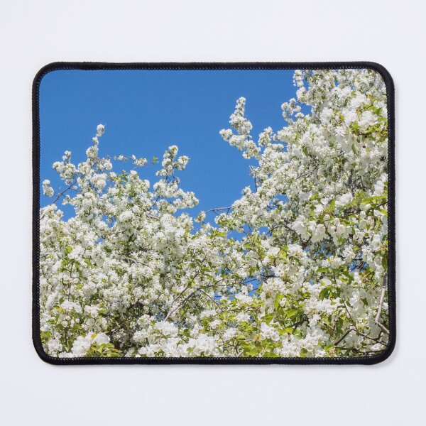Item preview, White apple blossom tree against blue sky designed and sold by TanalyFlowers.