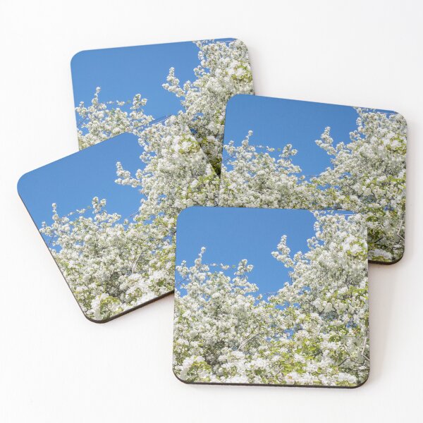 Item preview, White apple blossom tree against blue sky designed and sold by TanalyFlowers.