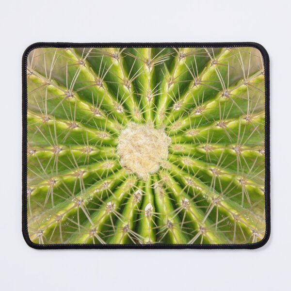Item preview, Green cactus top view macro texture designed and sold by TanalyFlowers.