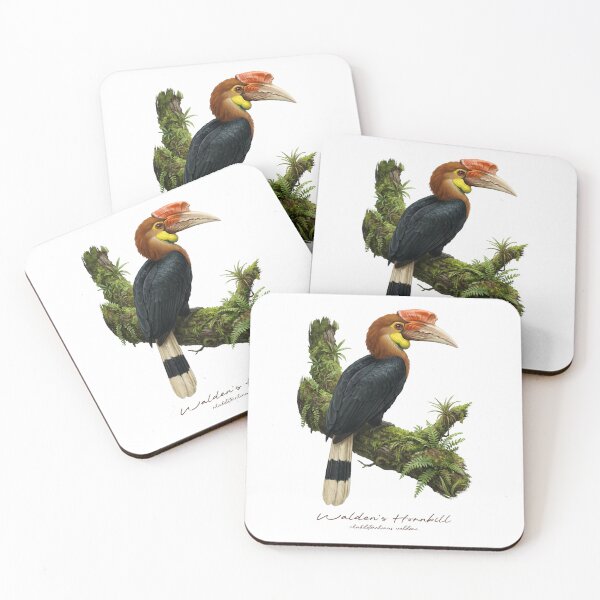 Item preview, Walden's Hornbill on Mossy Branch designed and sold by Takeda-art.