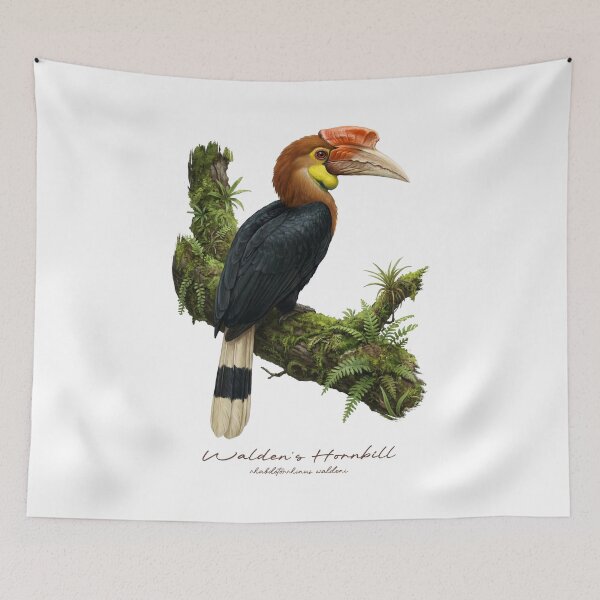 Item preview, Walden's Hornbill on Mossy Branch designed and sold by Takeda-art.