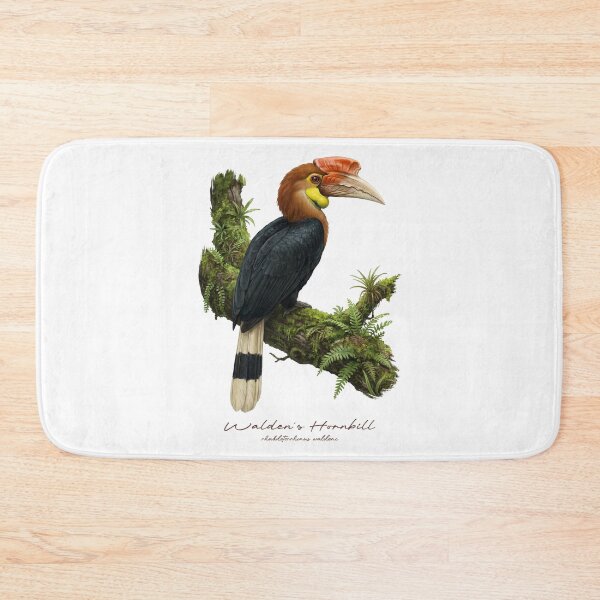 Item preview, Walden's Hornbill on Mossy Branch designed and sold by Takeda-art.
