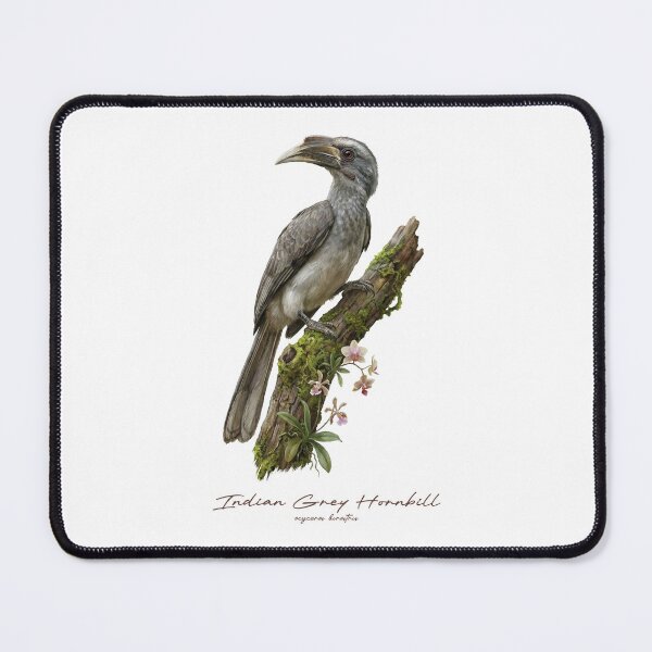 Item preview, Indian Grey Hornbill on Mossy Branch designed and sold by Takeda-art.