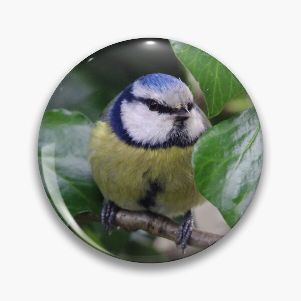 Item preview, blue tit  designed and sold by KathleenDawson.