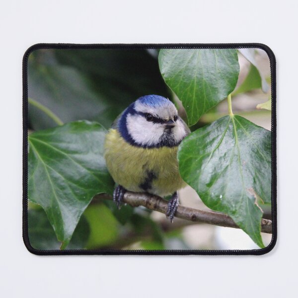 Item preview, blue tit designed and sold by KathleenDawson.