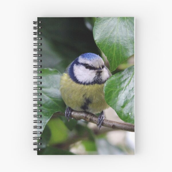 Item preview, blue tit  designed and sold by KathleenDawson.
