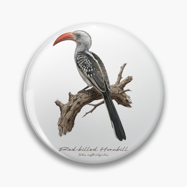 Item preview, Red-billed Hornbill on Dried Branch designed and sold by Takeda-art.