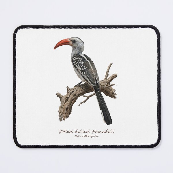 Item preview, Red-billed Hornbill on Dried Branch designed and sold by Takeda-art.