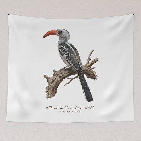 Item preview, Red-billed Hornbill on Dried Branch designed and sold by Takeda-art.