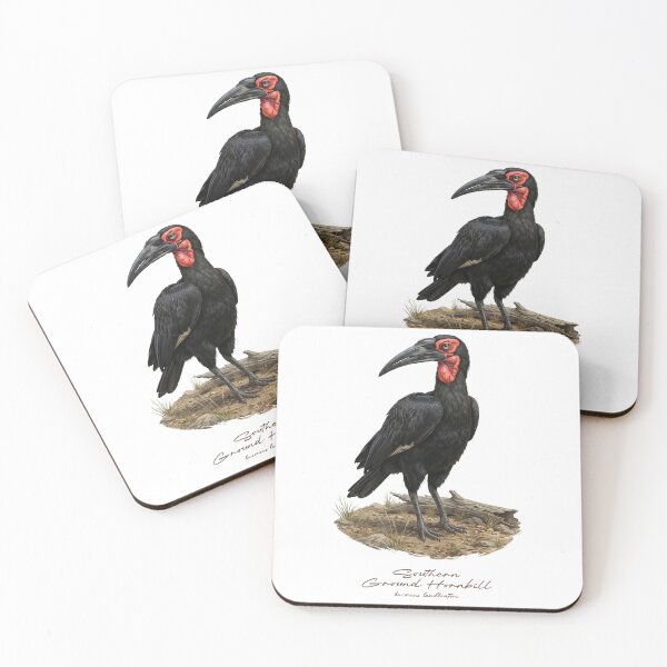 Item preview, Southern Ground Hornbill on Dried Land designed and sold by Takeda-art.
