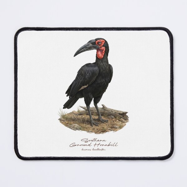 Item preview, Southern Ground Hornbill on Dried Land designed and sold by Takeda-art.