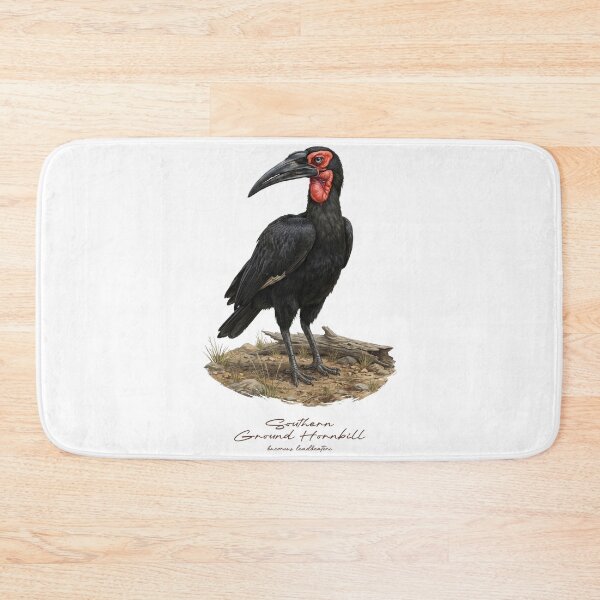 Item preview, Southern Ground Hornbill on Dried Land designed and sold by Takeda-art.