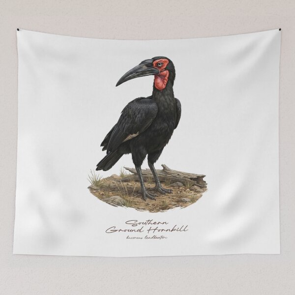 Item preview, Southern Ground Hornbill on Dried Land designed and sold by Takeda-art.