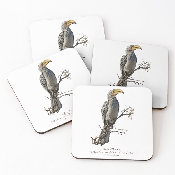 Item preview, Southern Yellow-billed Hornbill on Tree designed and sold by Takeda-art.