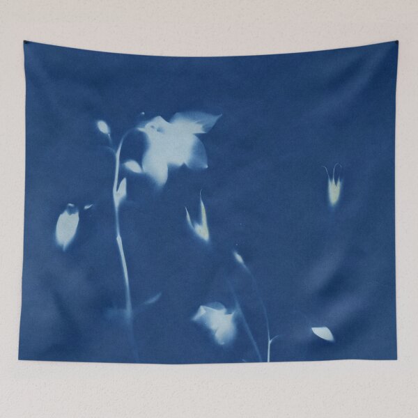 Item preview, Dry Cyanotype Aquilegia or Columbine designed and sold by LymphomaLass.